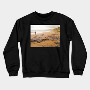 Beach fog Spinoni Crewneck Sweatshirt